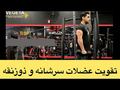 نشر از جانب دمبل آپرایت رو دمبل کول دمبل شراگز با دمبل ایستاده