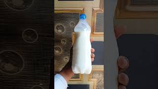 Cow paneer experiment #Shorts