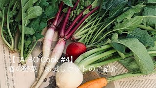 【TA-BO Cook #4 】春の野菜 お試しセットのご紹介