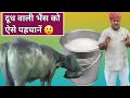 अच्छी दूध वाली भैंस कैसे पहचानें/How Select Heavy Milker Buffalo