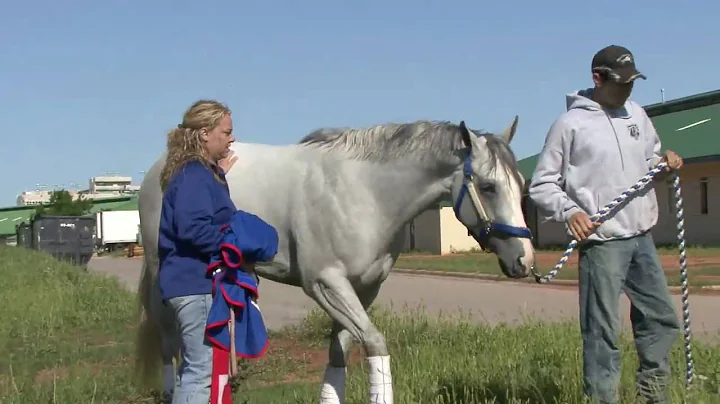 2009 $1M Heritage Pl. Futurity Preview 2