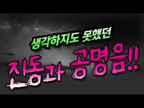 Team CARNIVAL 올뉴카니발 진동/공명 및 까페소개