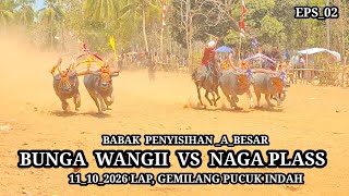 PALAPA  & KOBAR || BABAK PENYISIHAN _A_BESAR 11_10_2026 MANK ALESKA #shorts #fyp#trending#viralvideo