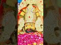 aankhon ke aansu har pal pu#khatushyam #shreekhatushyamdelhidham#❤️❤️🙏🙏🙏🌹🌹🌹🙏🙏