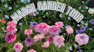 March Garden Tour