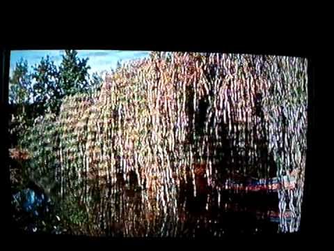 Stay Me With Flagons Comfort Me With Apples For I Am Sick Of