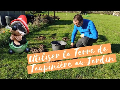 Vidéo: Puis-je utiliser de la terre de taupinière ?