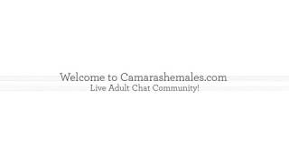 Ladyboy Chat