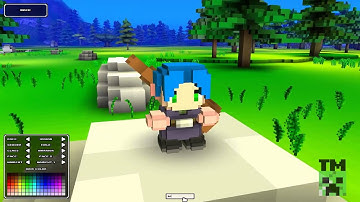 Cube World Alpha: First Looks -Character Customization, Racoons
