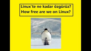 Linux işletim sistemlerinde, ne kadar özgürüz? incelemelerim