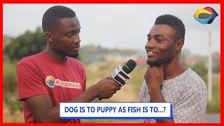 DOG is to PUPPY as FISH is to...? | Street Quiz | Funny Videos | Funny African Videos | DOG is to PUPPY as FISH is to...? | Street Quiz | Funny Videos | Funny African Videos |