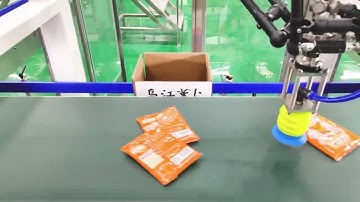 SACHET CASE PACKING