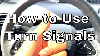 Expert Guide to Car Turn Signals