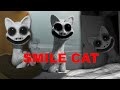 Smile cat compilation
