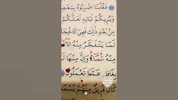 سورة البقرة الأية 74 القارئ سعد الغامدي
