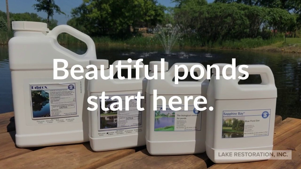 Pond Management Kit for Pond Weed and Duck Weed Control ...