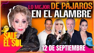 Silvia Pinal, Luis Enrique Guzmán, Yuri, Danna Lo Mejor De Pájaros En El Alambre 12092024
