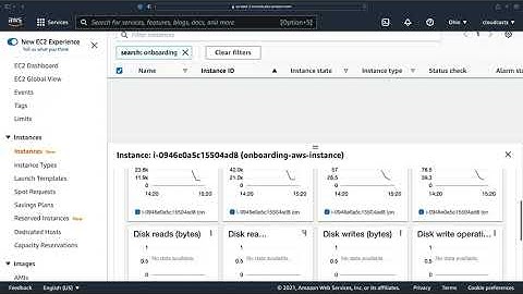 Monitoring an EC2 Instance - CPU Credits, Disk IOPS, and more