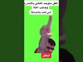 رياكشن بندريتا سي جي هوا ده ابن وسخ