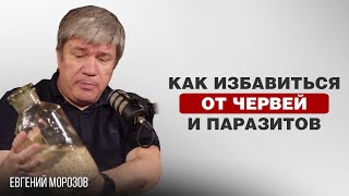 видео: ЧЕРВИ И ПАРАЗИТЫ В ОРГАНИЗМЕ ЧЕЛОВЕКА | Евгений Морозов картинка: ЧЕРВИ И ПАРАЗИТЫ В ОРГАНИЗМЕ ЧЕЛОВЕКА | Евгений Морозов