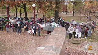 IUP To Close 5 Fine Arts Programs