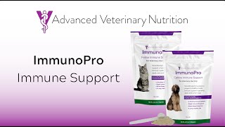 ImmunoPro | Canine Immune Support