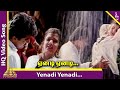 Yenadi yenadi song  raasi movie songs  ajith  rambha  hariharan  sirpy  pyramid music