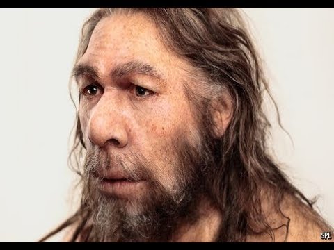 Video: Homo Erectus Kan Ha Dødd Ut Mye Tidligere Enn Utseendet Til Homo Sapiens - Alternativt Syn