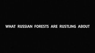 What russian forests are rustling about (a film by Sergey Pedan, Russia, 2016)