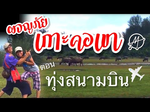 ม่วนหมาน: เที่ยวพังงา | ผจญภัยเกาะคอเขา Ep.1 | ทุ่งสนามบิน | พังงา: Koh Kho Khao, Takuapa, PhangNga.