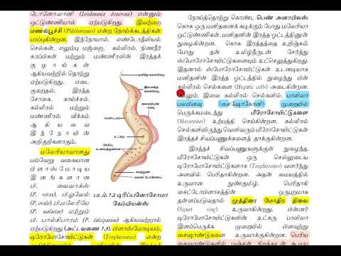 🟪 LESSON-17 🟪 📌PART-3📌12th-மனித நலன் மற்றும் நோய்கள்  | KRISHOBA ACADEMY