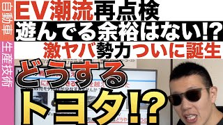 本気かいトヨタ？プラットフォームを今更再開発する？意味がわからないよ。応援している身として怒りを通り越して呆れたよ。