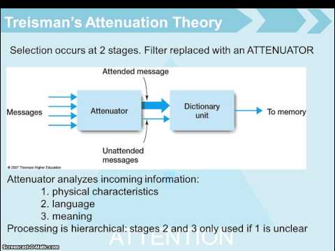 Video: Attention Theories