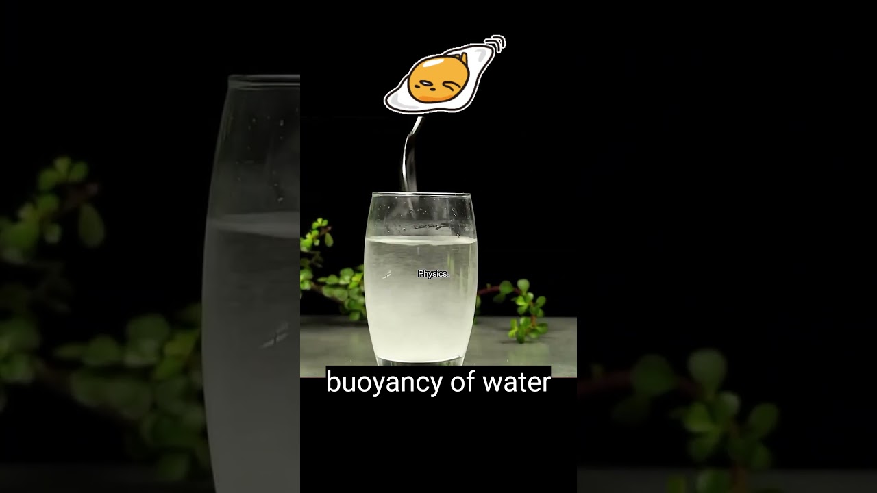Buoyancy of water 🥚🐣