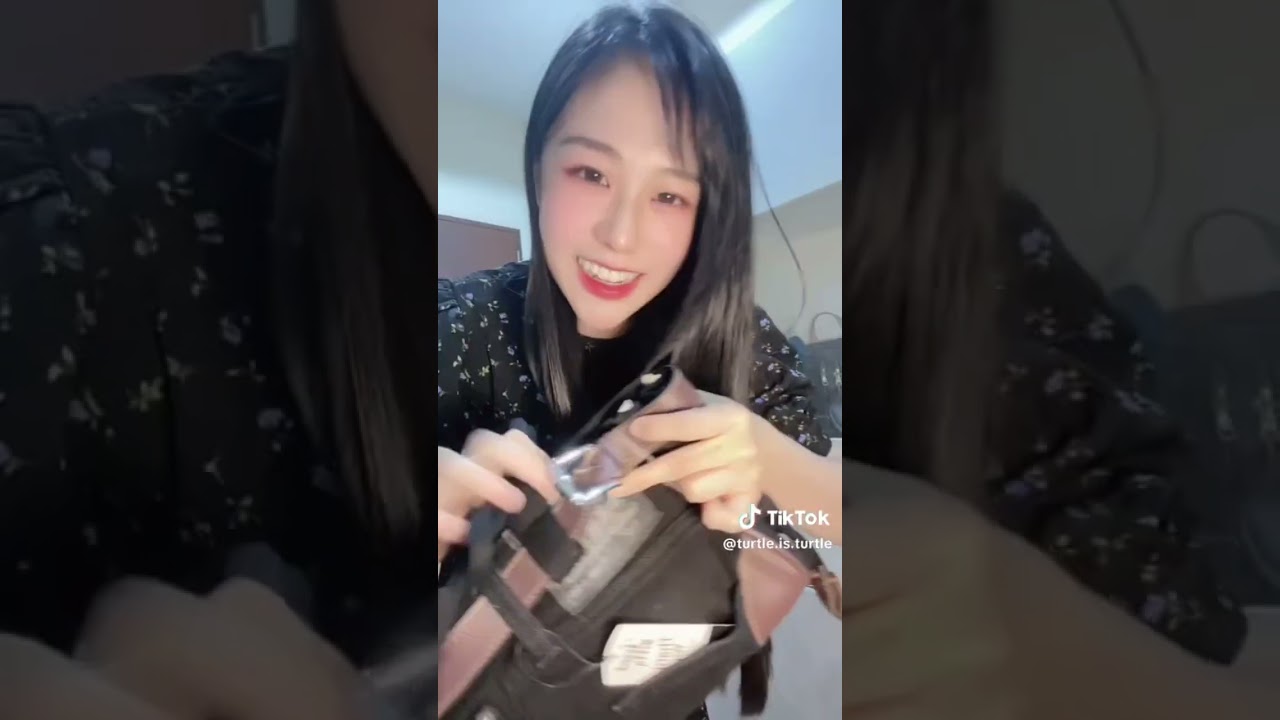 5 mouths to go is Birthday Turtle