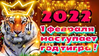 🐯😊веселое музыкальное поздравление 🐯с китайским новым годом музыкальное пожелание🐯💗🎵С  годом тигра!🐯