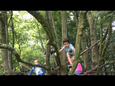 In het park Schollevaar te Capelle aan den IJssel In het park Schollevaar te Capelle aan den IJssel