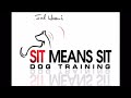 Dog demonstrating "Push" command with wheelchair