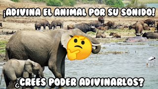 ¡Adivina el animal por su sonido!