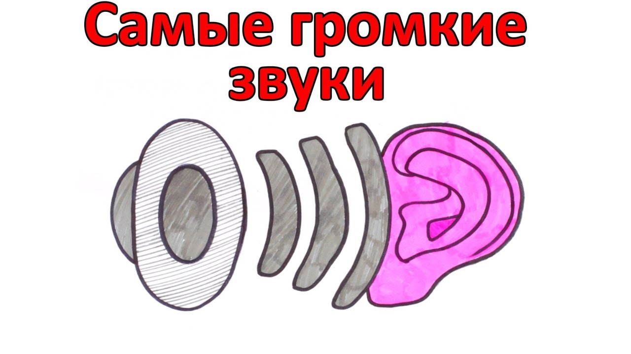 Громче звук 6. Самый громкий звук в мире. Звук громче. Осторожно громкий звук. Самый громкий голос в мире.