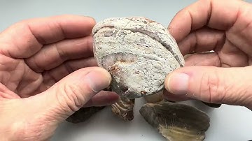 Rock Tumbling My Central Texas Rocks