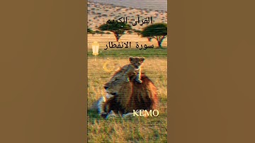 #قرآن سورة الانفطار ، بصوت القارئ أحمد بن علي العجمي .