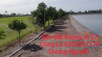 Nhà Đất Bán Đất Ruộng vườn dt 27 Công Giá 180tr Công Tân Thạnh LA