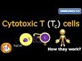 Cytotoxic T  (Tc)  cells or Killer T cells (FL-Immuno/33)