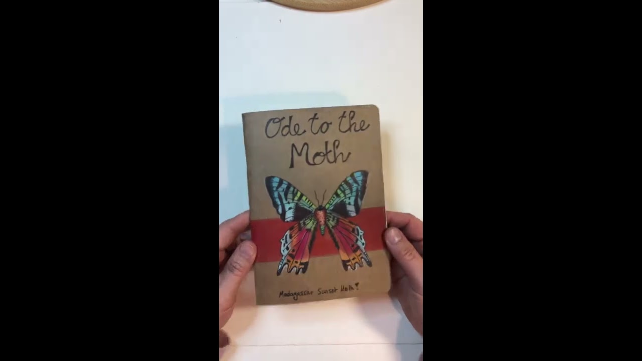 Brooklyn Art Library Sketchbook Tour