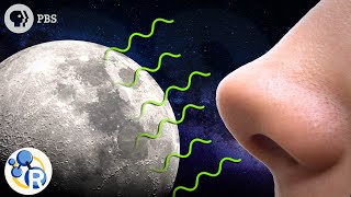 What Does the Moon Smell Like?
