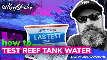 💦 Testing the reef tank water with Triton ICP lab tests