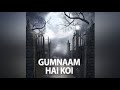 Gumnam hai koi  remix