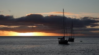 Covid Negative!: Fishing around St Helena!