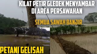hujan deras melanda persawahanHujan dengan kilat petir gledek di persawahan Hujan deras banjir